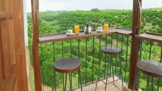 El Mejor Hotel Campestre para tu Aventura Cafetera